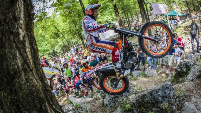 Toni-bou