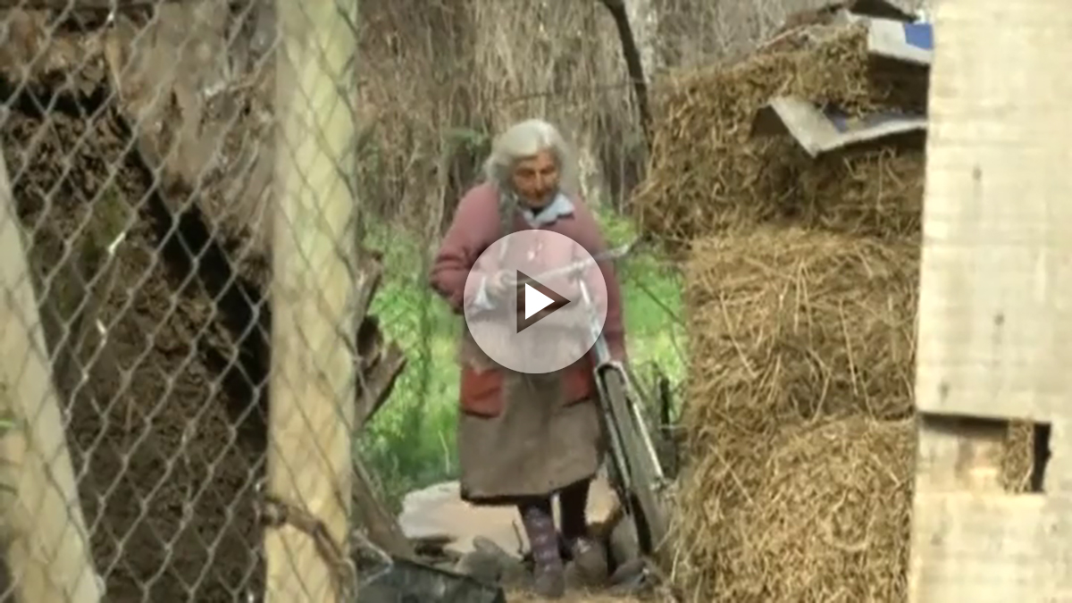 abuelaplay