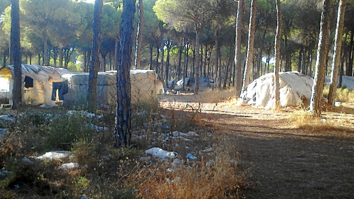 Asentamiento de inmigrantes en el Camino Monturrio de Moguer, Huelva.
