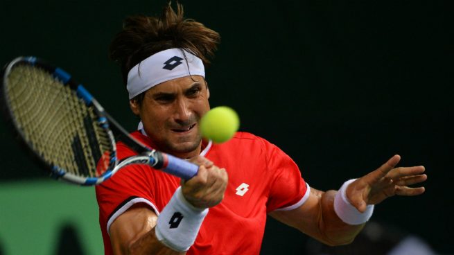 david-ferrer-india-españa-copa-davis