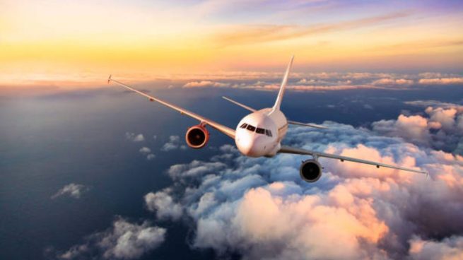 Los usuarios de avión se desplomaron un 73,9% en enero y los del AVE retrocedieron un 77,2%