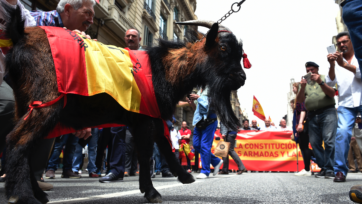 Cabra de La Legión en una manifestación en Barcelona. (Foto: AFP)