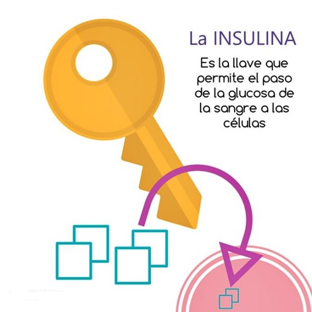 ¿Qué es la insulina y para qué sirve? ¿Qué es la insulina y para qué sirve?