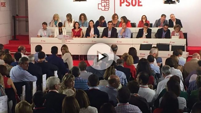 El Comité Federal del PSOE en directo