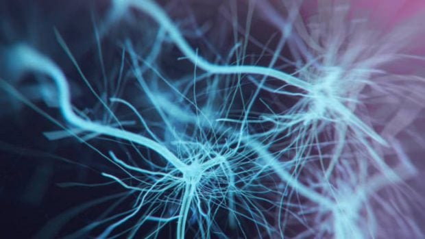 Neuronas