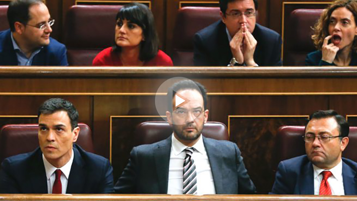 El secretario general del PSOE, Pedro Sánchez (i- abajo), junto al portavoz del partido, Antonio Hernando (c), y los diputados Miguel Ángel Heredia Díaz (d-abajo), César Luena, María González Veracruz, Oscar López y Meritxell Batet, de izda a dcha en segunda fila) durante la sesión de investidura (Foto: Efe)