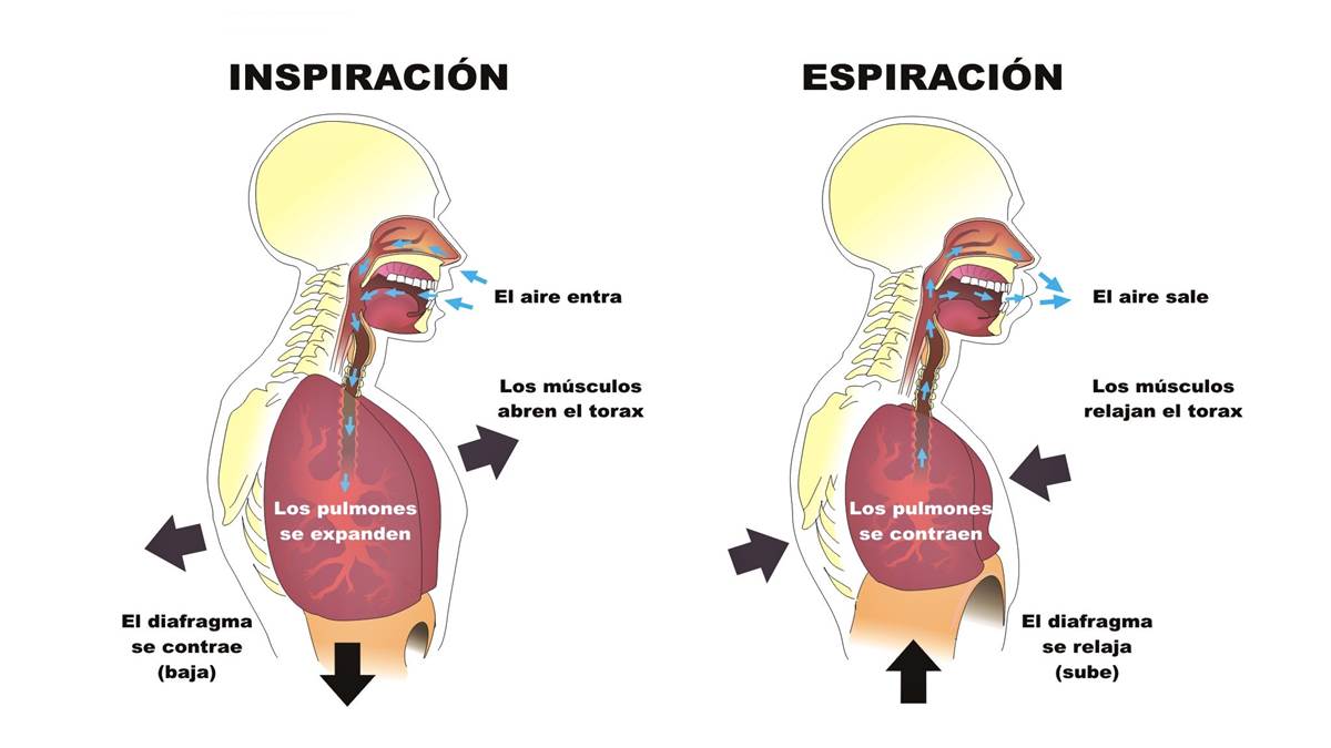 Porque Le Da Hipo A Un Niño De 2 Años