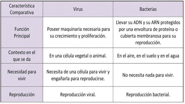 ¿Es una bacteria o parásito?