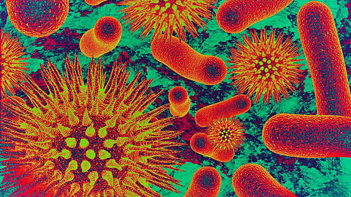 diferencias virus bacterias