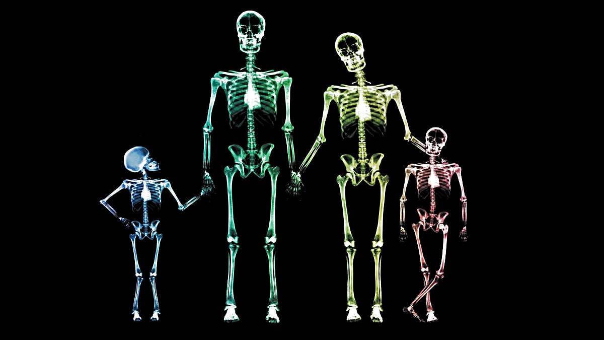 huesos-cuerpo-humano-cuantos