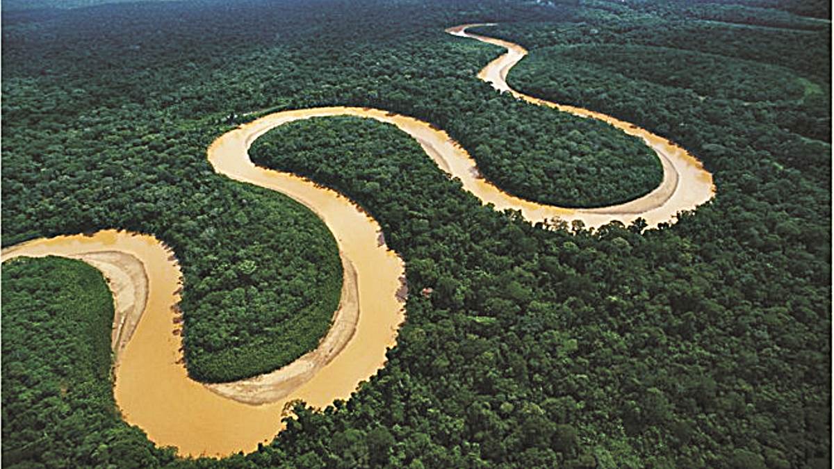 Descubre 5 animales que sólo existen en el Amazonas