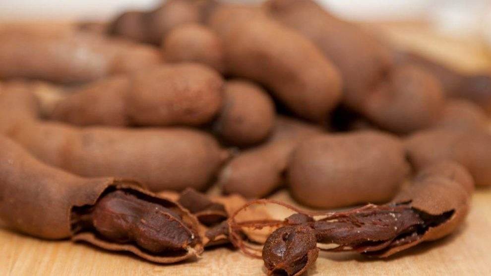 Beneficios Del Tamarindo Para La Salud Humana