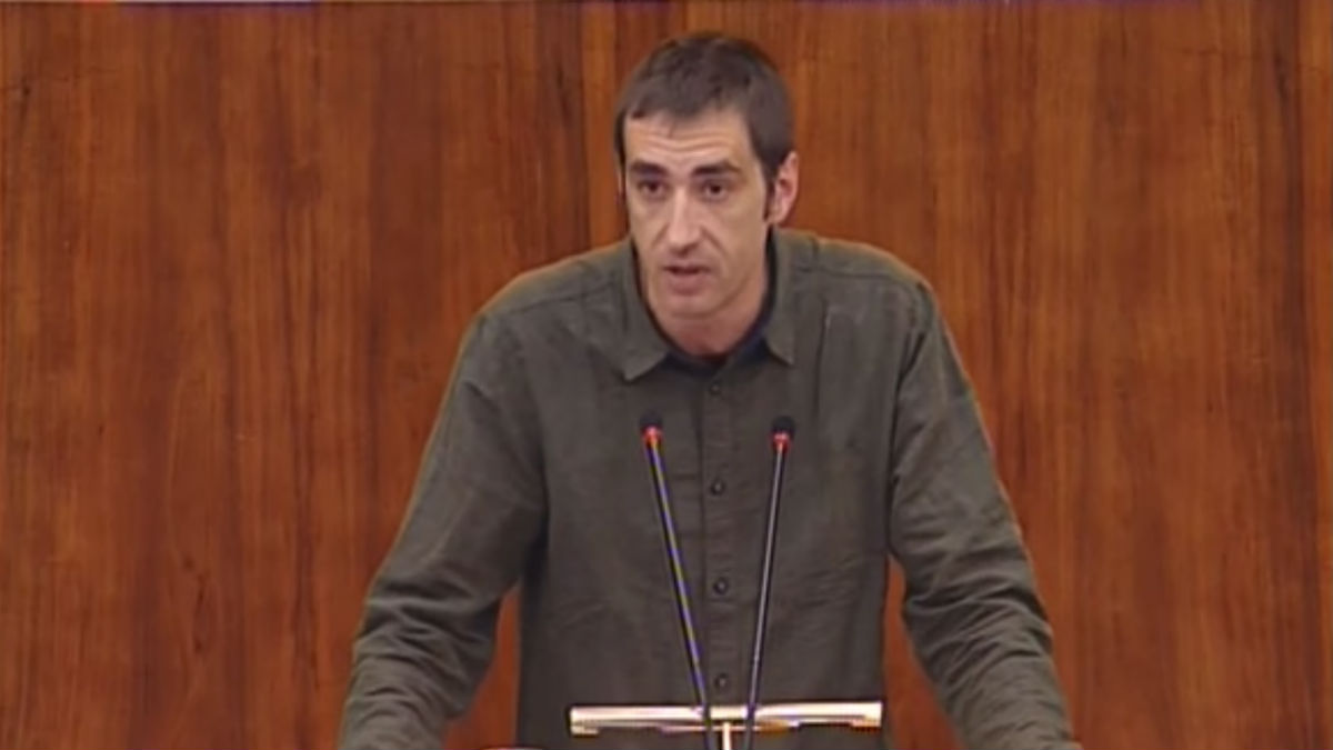 El diputado de Podemos en la Asamblea de Madrid, Emilio Delgado (Foto: Youtube)