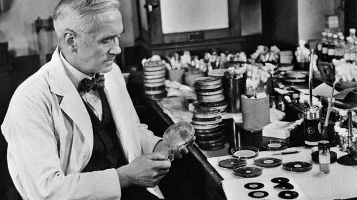 ¿cómo Se Descurbrió La Penicilina Historia De Alexander Fleming