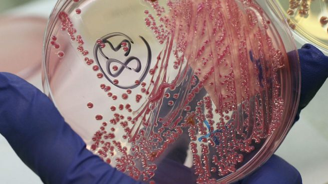 Investigadores del CSIC diseñan una nueva técnica para detectar virus y bacterias