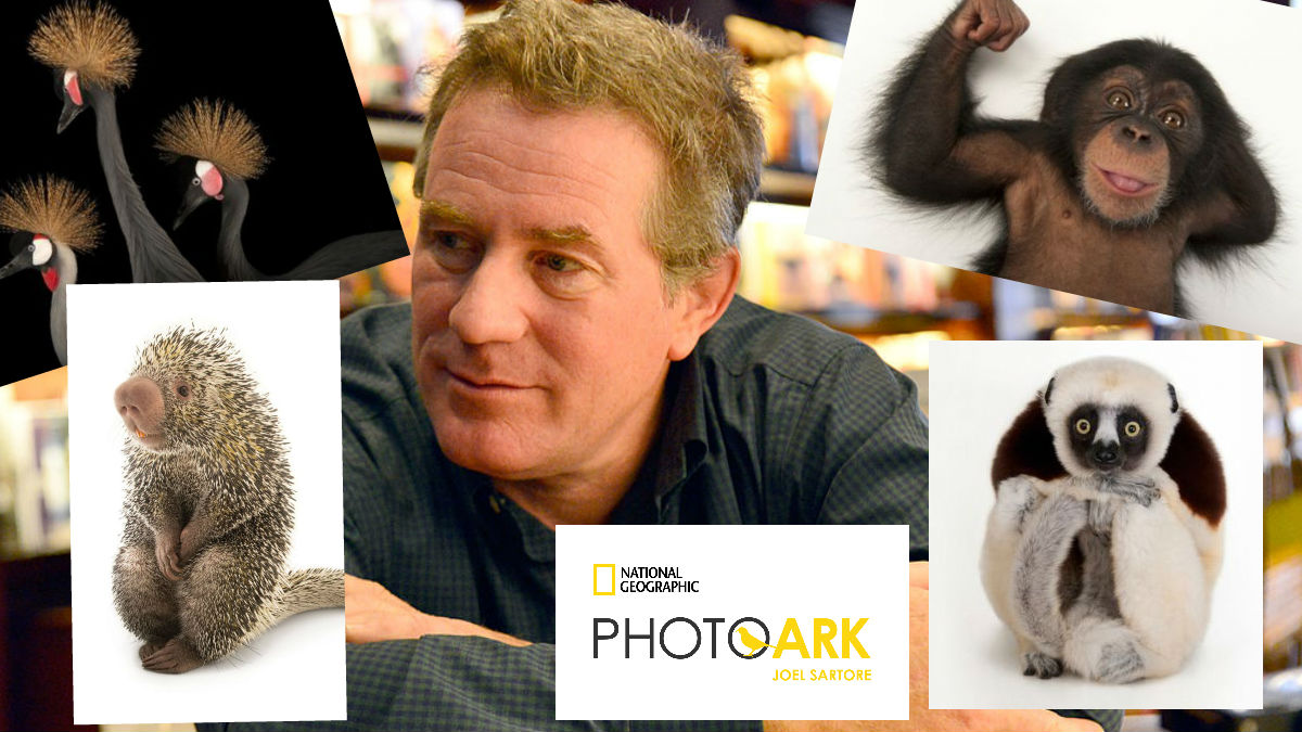 Joel Sartore con algunas de las fotos que ha realizado dentro del proyecto ‘PhotoArk’ para National Geographic. Foto: GETTYIMAGES y NATIONAL GEOGRAPHIC