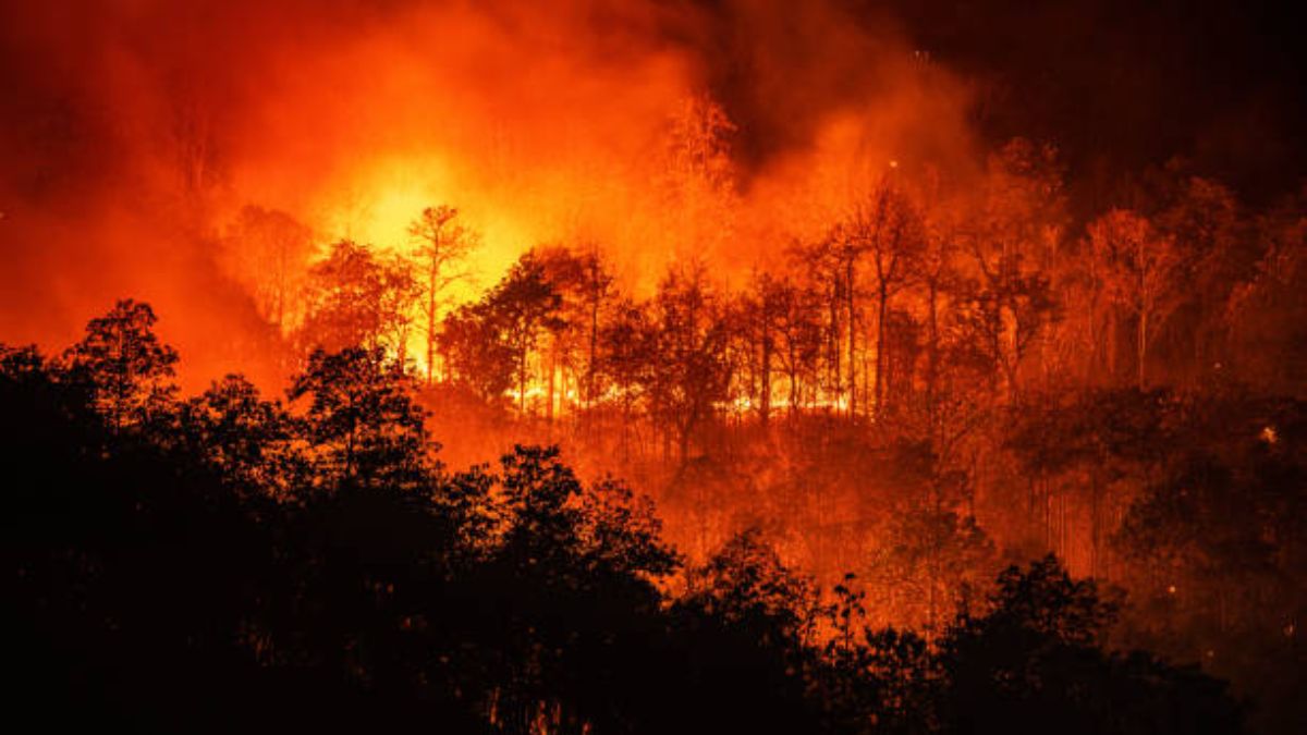 Tipos de desastres naturales, cómo se forman y qué consecuencias tienen