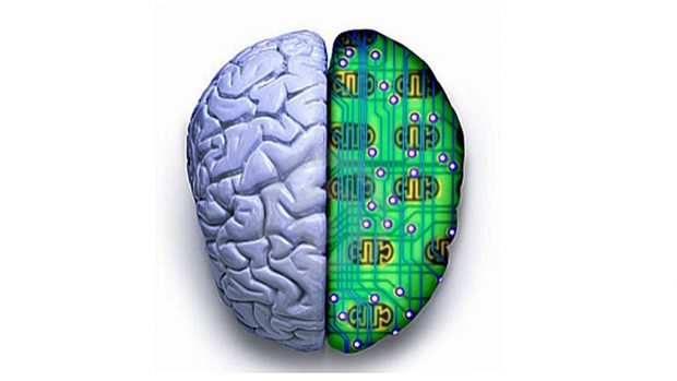 cerebro computadora diferencias