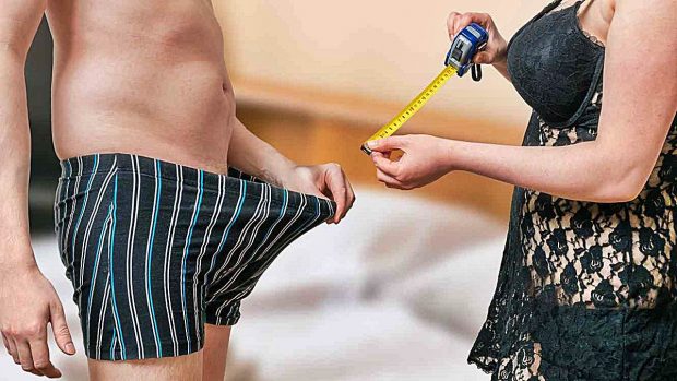 Promedio tamano miembro masculino mundial