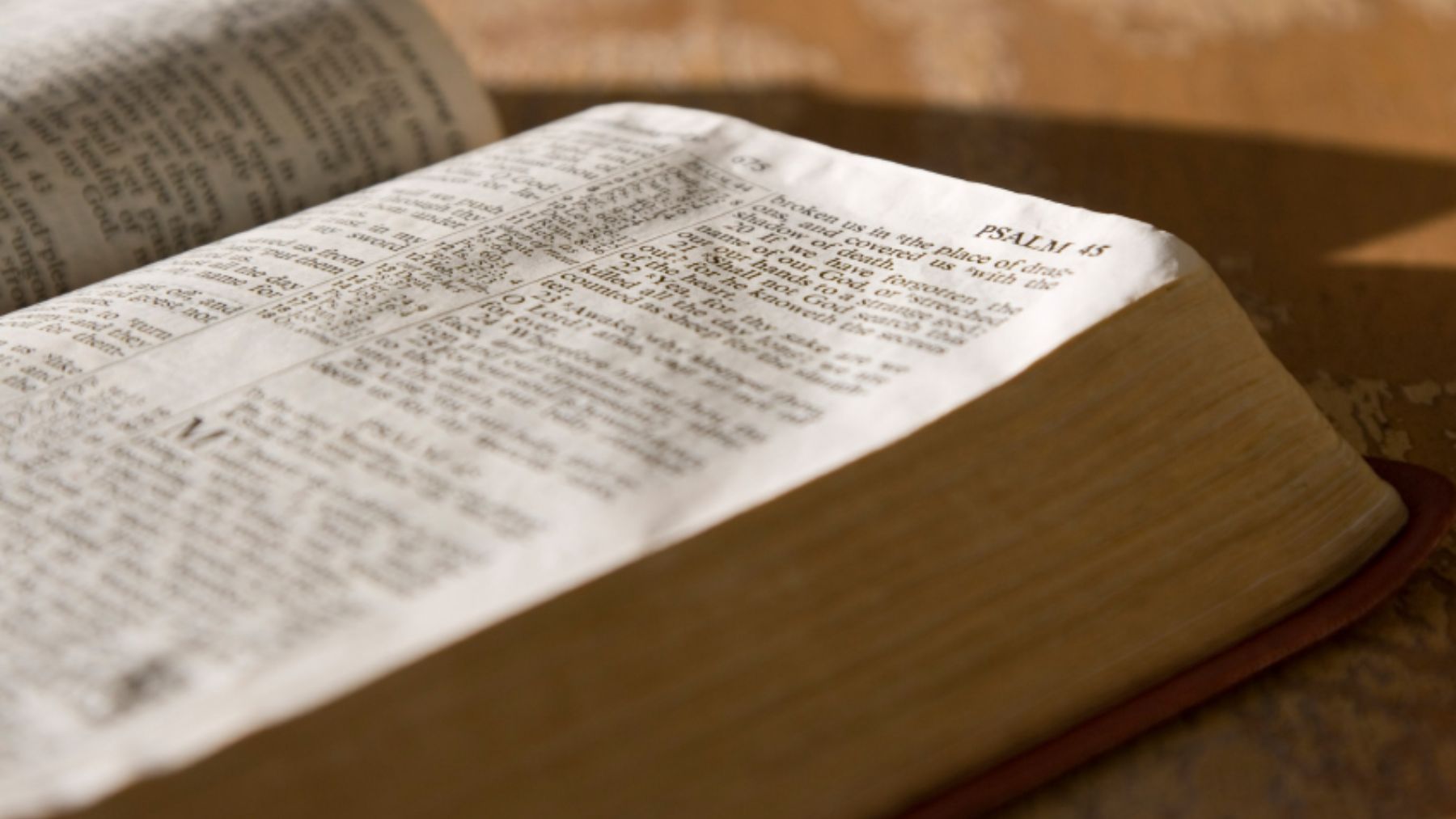 Descubre algunos de los pasajes más sangrientos en la biblia