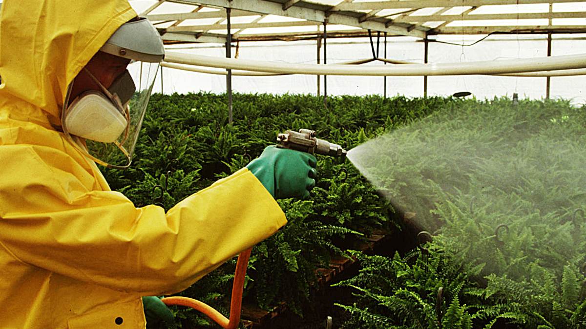Plant protection. Удобрения в сельском хозяйстве. Пестициды и гербициды. Пестициды в сельском хозяйстве. Агрохимикаты в сельском хозяйстве.