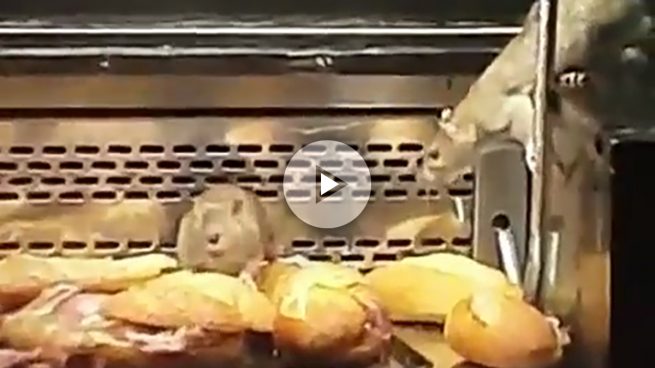 La Policía de Carmena clausura una panadería en Madrid tras detectar ratas en los mostradores