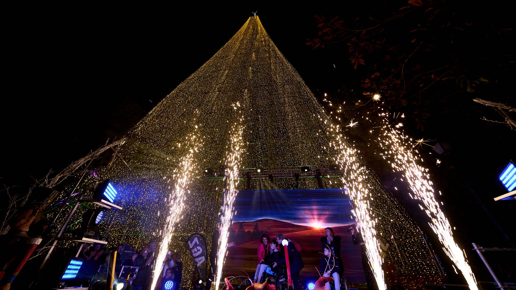 Árbol de Navidad de Cartes. (Foto: EP)