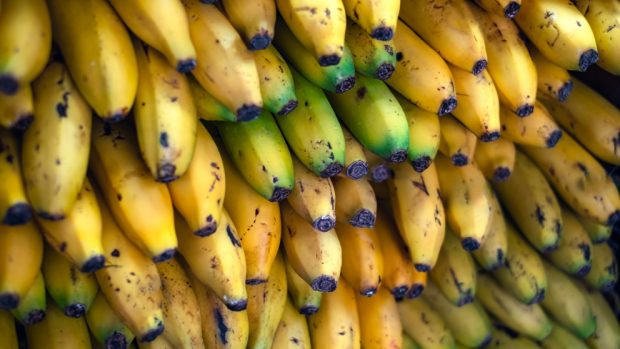 curiosidades que no sabías sobre los plátanos