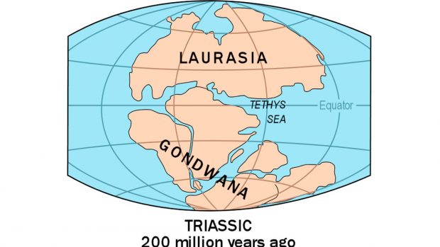 Te mostramos los 5 continentes extintos de la Tierra