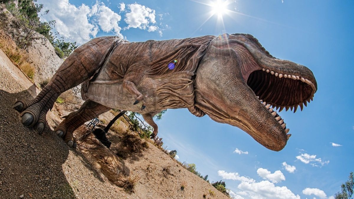 Tiranosaurio rex (granvalle.com)