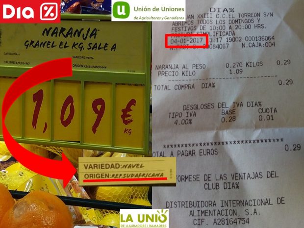Los agricultores denuncian que DIA vende naranjas sudafricanas en pleno desplome de precios en España