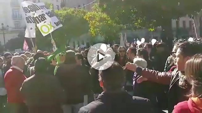 Individuos con pegatinas de Podemos apalean a miembros de Vox en una manifestación