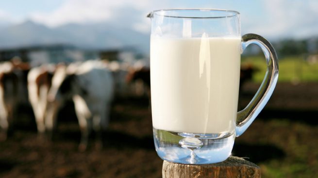 El presidente de la patronal láctea aclara que «leche sólo es la de vaca, cabra u oveja»