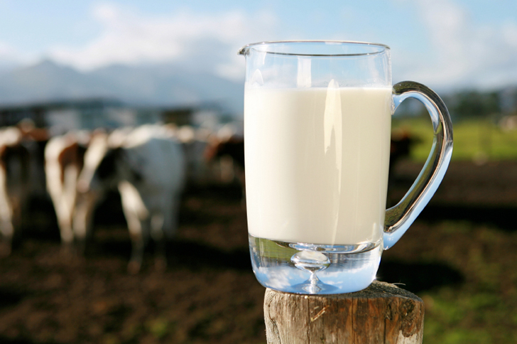 Ventajas e inconvenientes de tomar leche (1)