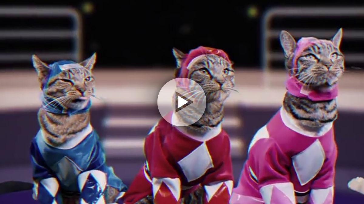 gatos-power-rangers