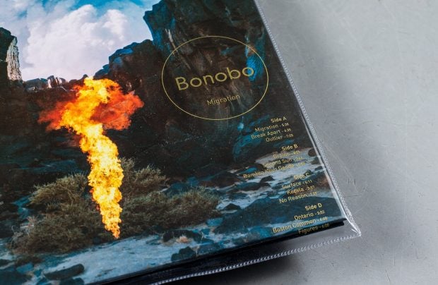 Bonobo