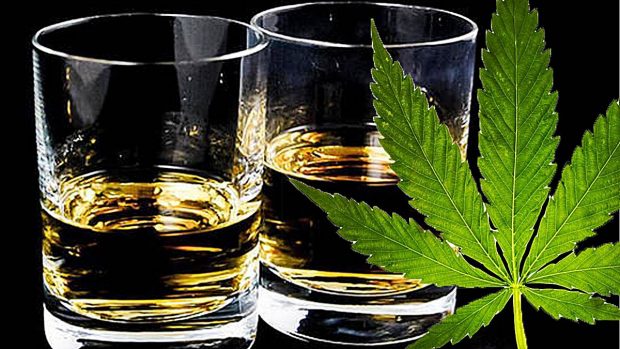 marihuana alcohol cannabis drogas