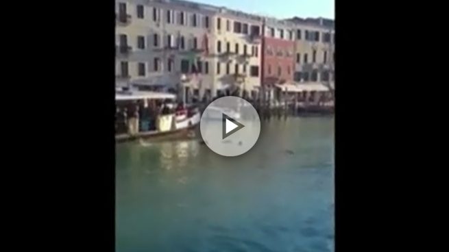 Indignación en Italia porque nadie ayudó a un inmigrante que se ahogó en el Gran Canal de Venecia
