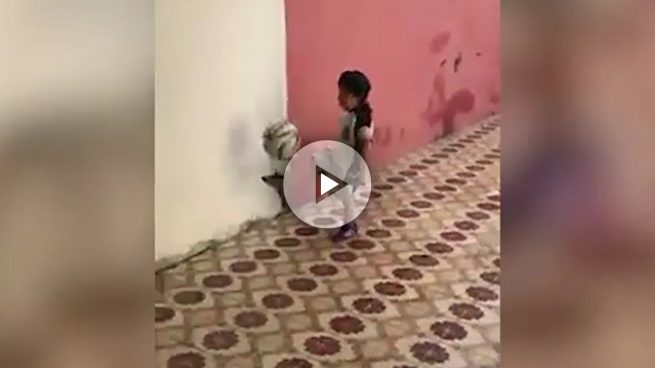 La habilidad de este adorable niño con el balón te dejará boquiabierto