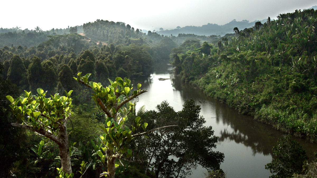 Vista del río Mananara en Madagascar (Foto: AFP).