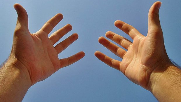 Resultado de imagen de manos