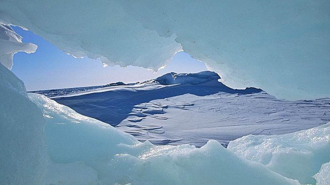 Ártico Antártico diferencias a
