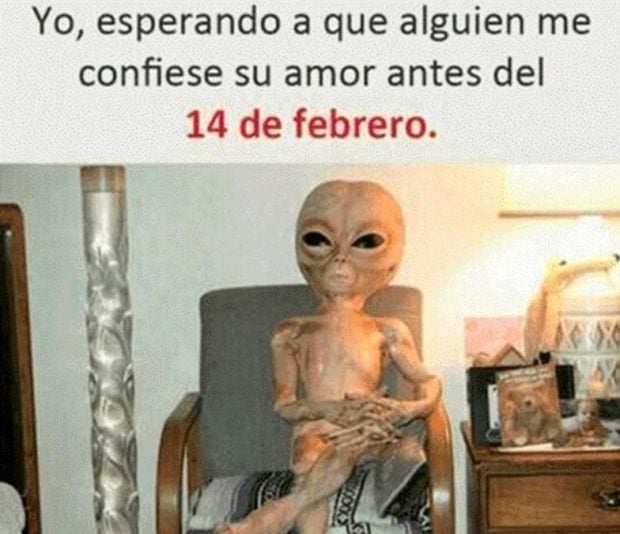 memes san valentín