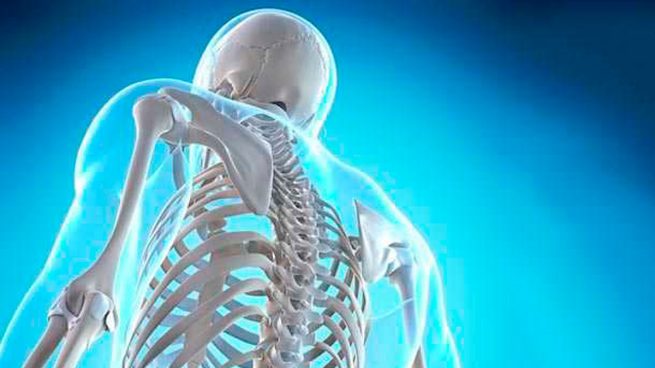 Los 5 datos más interesantes del esqueleto humano