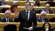 Mariano Rajoy en el Senado. (Foto: EFE)