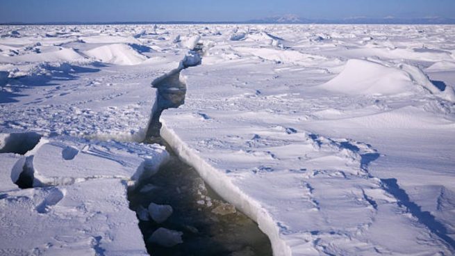 Ártico y antártico