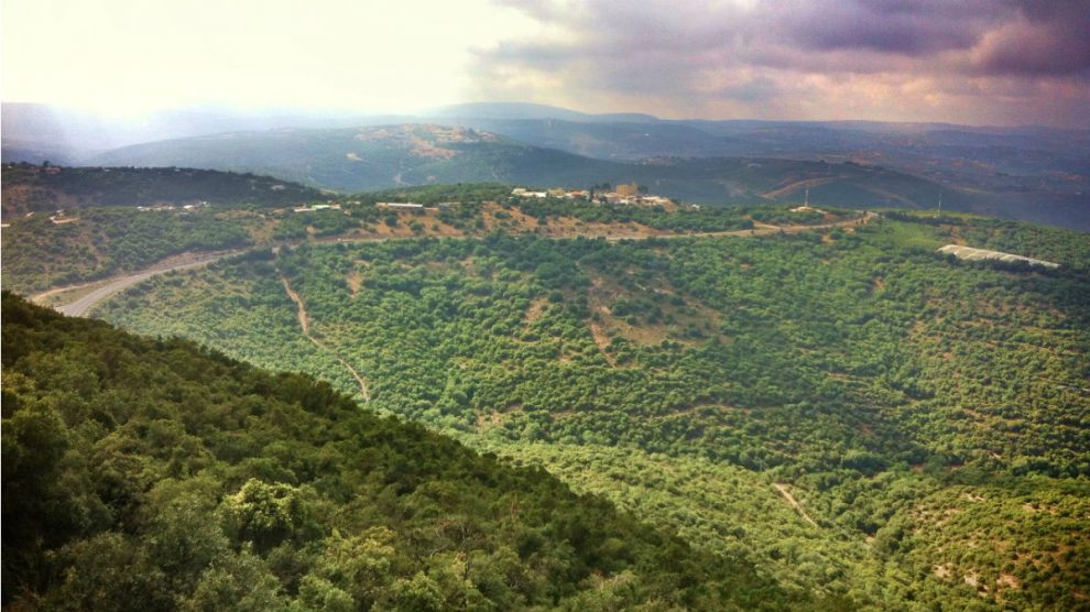 Territorio libanés visto desde la frontera con Israel. (ADP)
