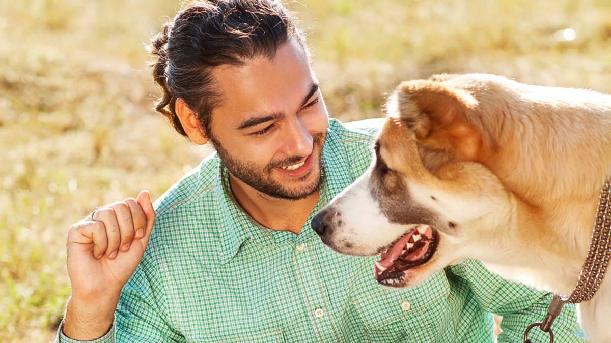 Gudog, la start up que ofrece pisos turísticos para perros por 10€ la noche