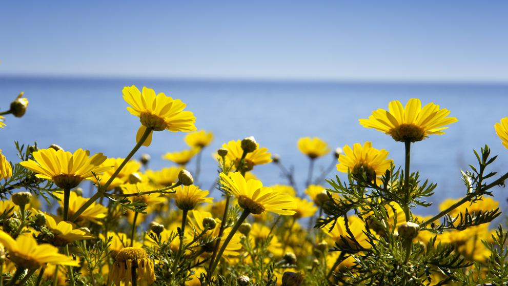 El equinoccio de primavera explica por qué la primavera ha comenzado el 20 de marzo