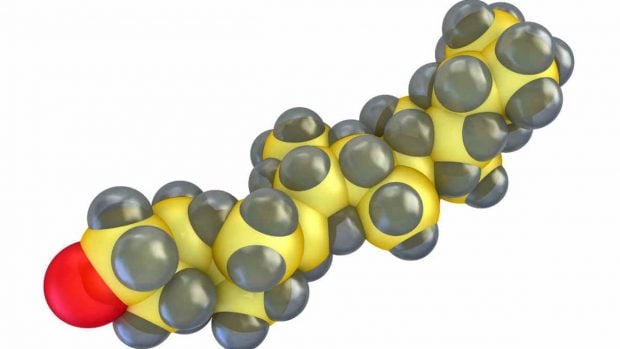 ¿Qué son las biomoléculas?